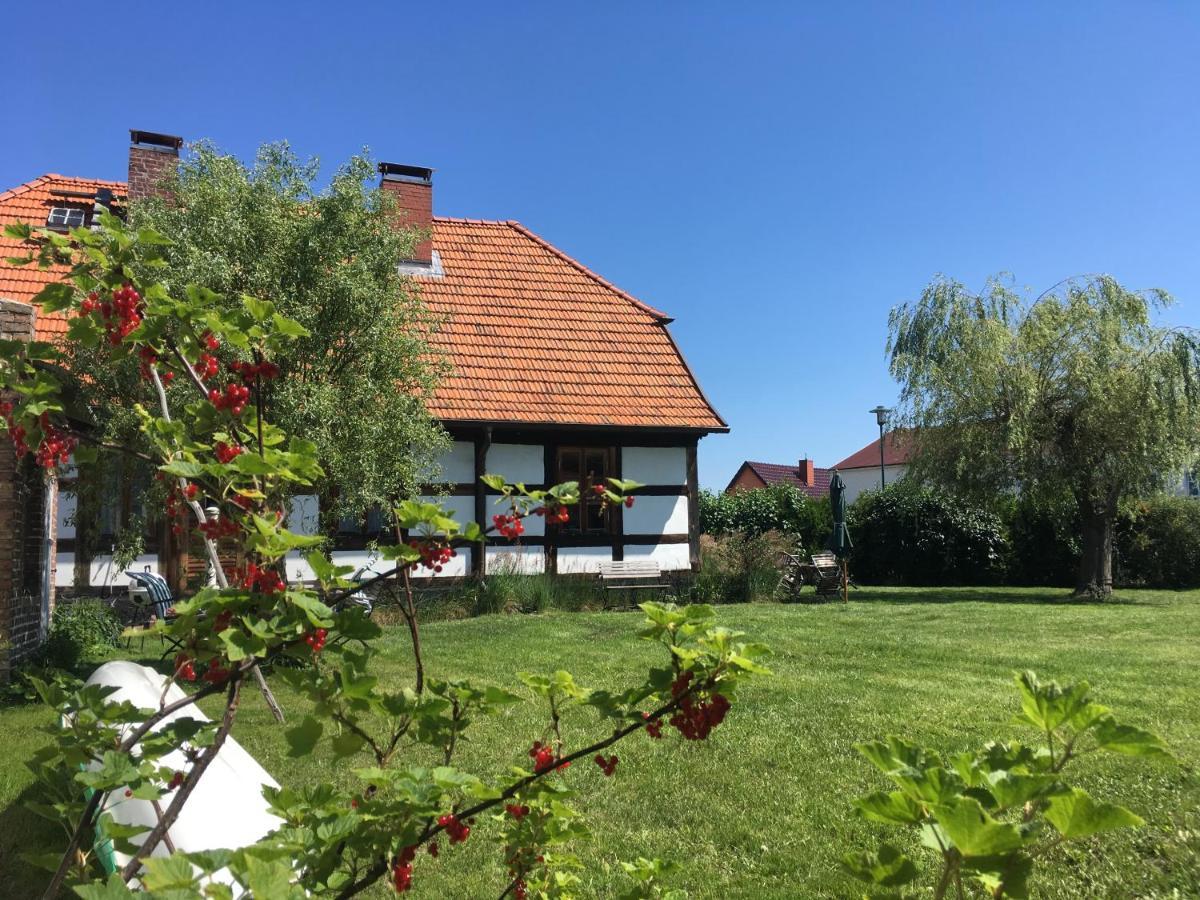 Fischerhaus Godewind 60 Qm Altwarp Bagian luar foto